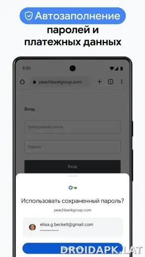 Google Chrome скриншот 6